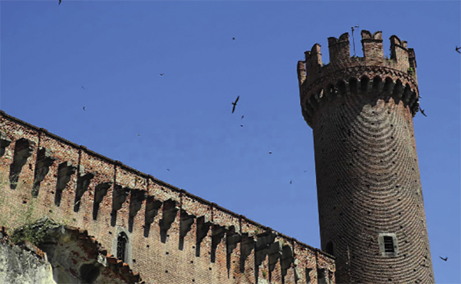 rosse torri