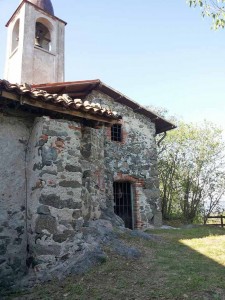 Pavone romitorio