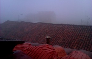 IMAG0941-1