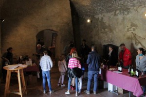 IMG_8533