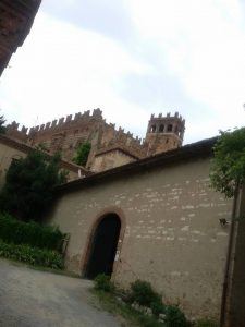 Castello Camino3