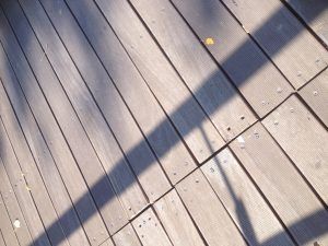 IMG_1932