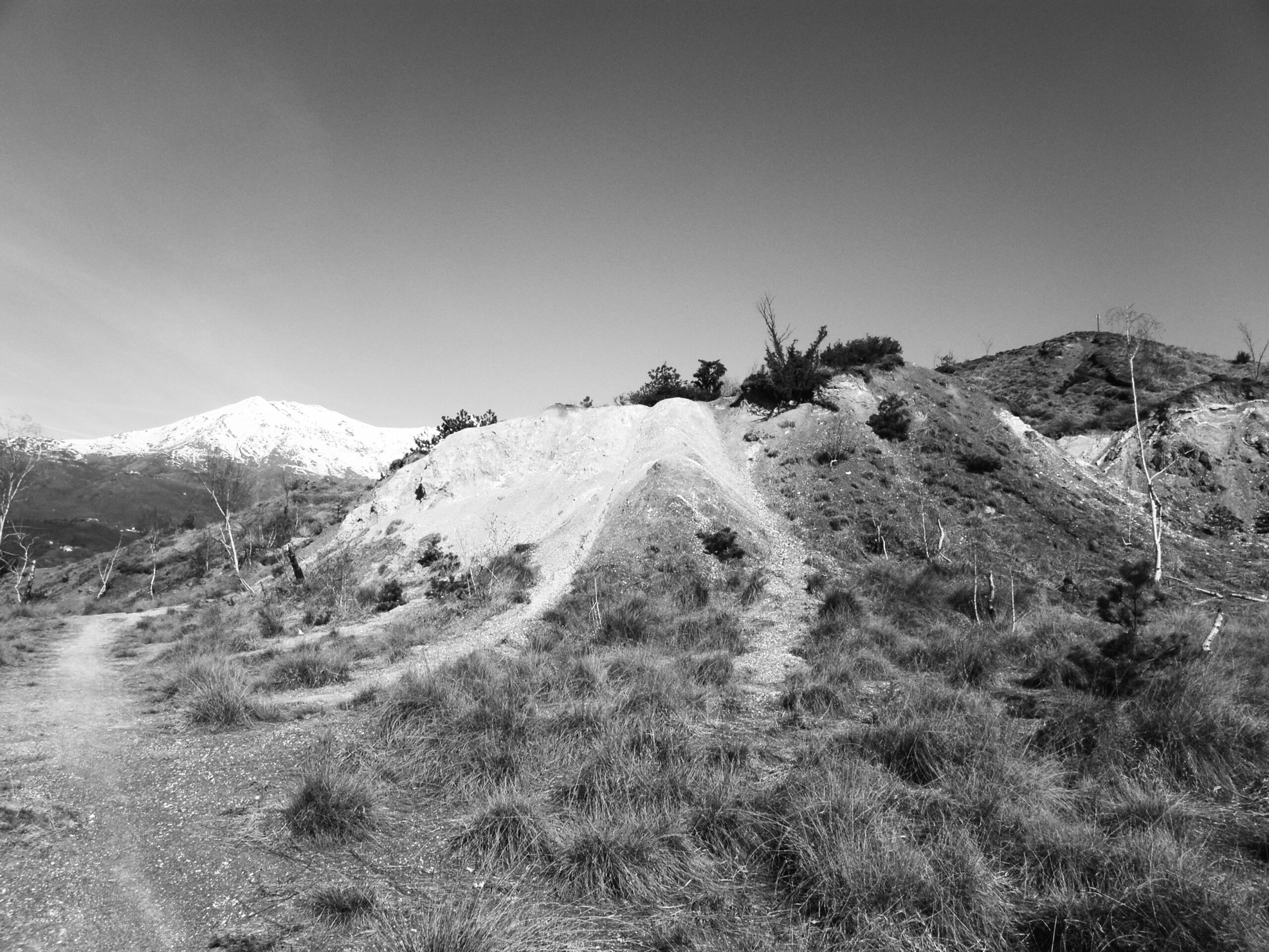 La vegetazione è scarsa; tra gli alberi predominano i pini e i ginepri. Sullo sfondo, in lontananza, si stagliano la Quinseina e il Verzel innevati