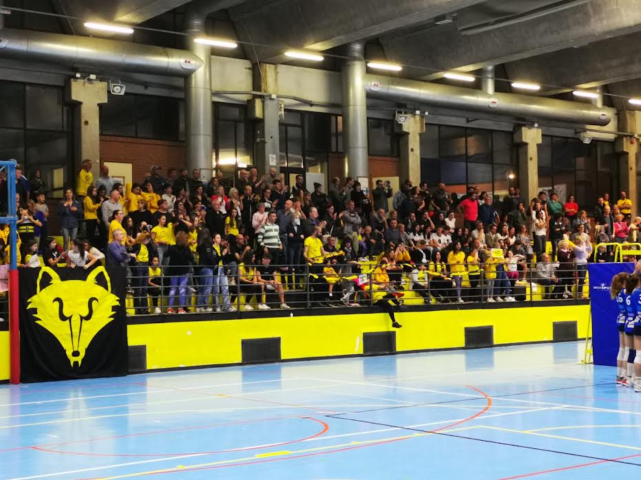 Savis Vol-Ley pubblico