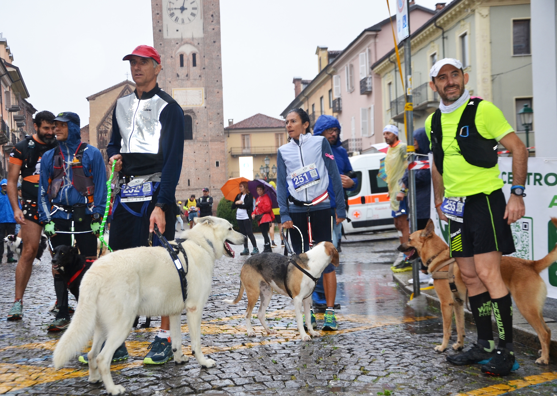 Trail delle Colline Dog