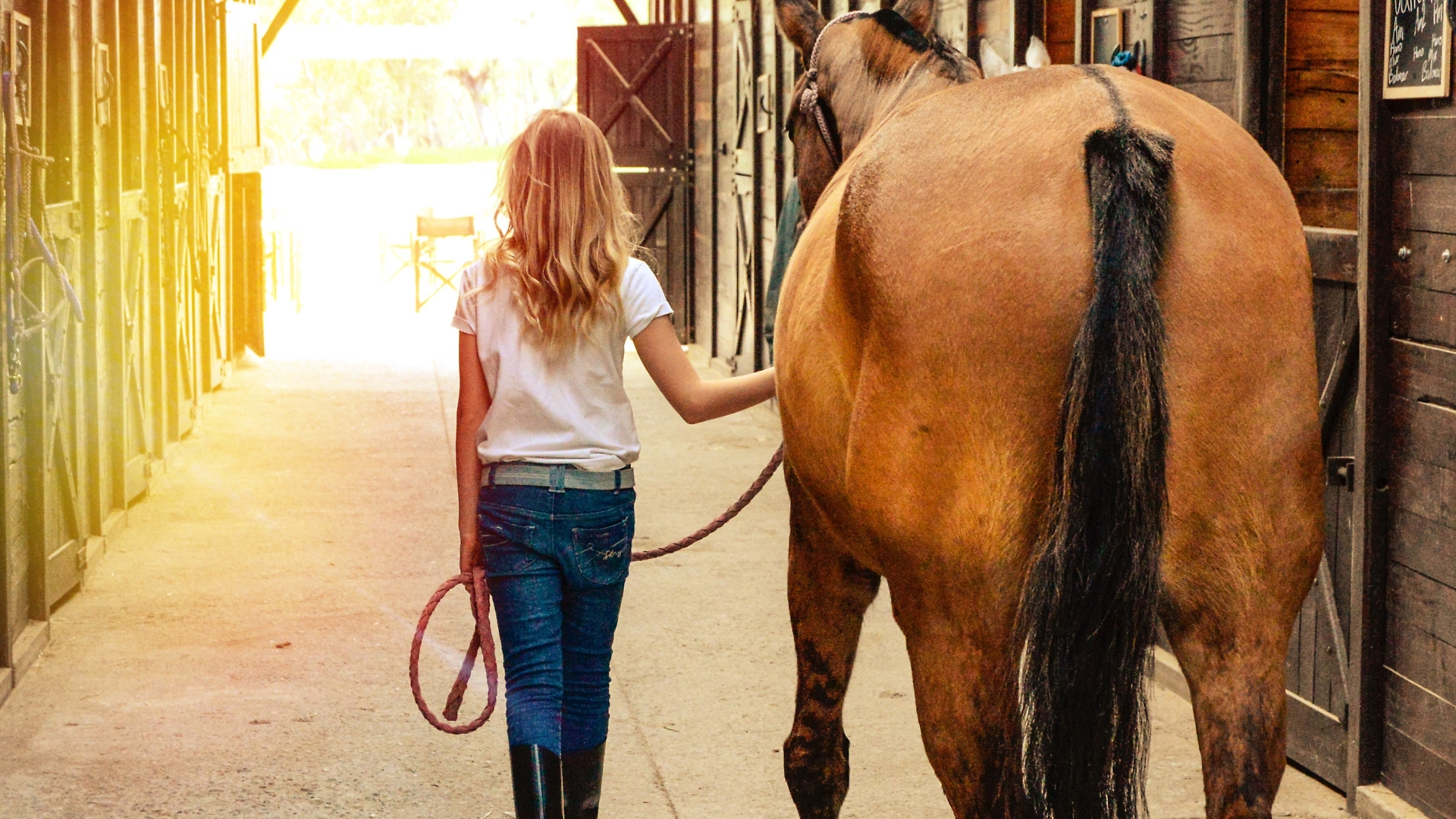 cavallo abbattuto