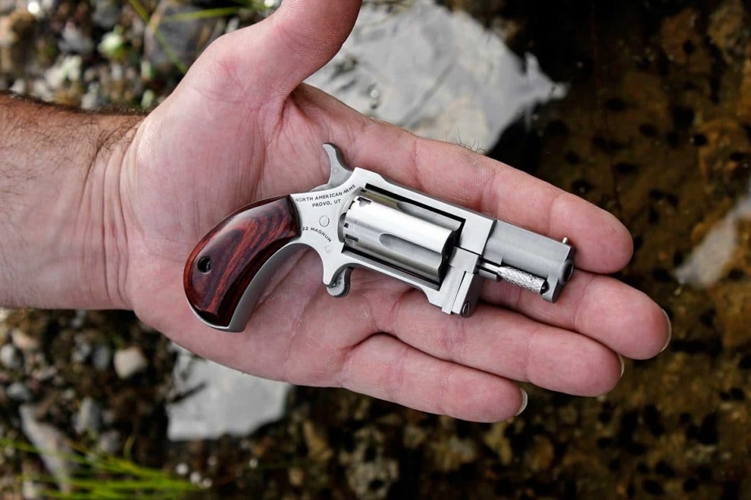 North American Arms LR22