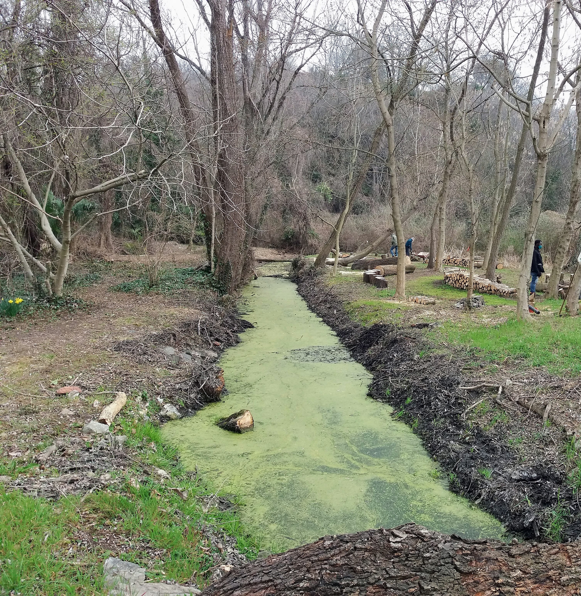 Parco lago di città