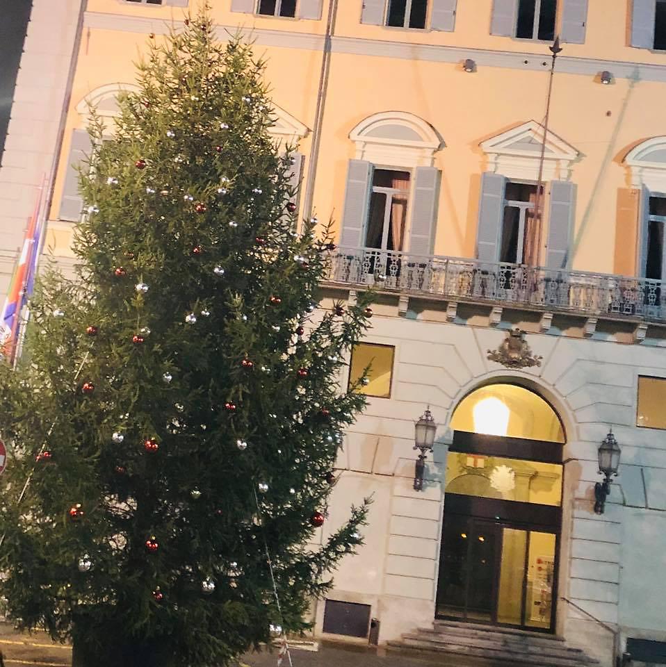 l'albero di Natale