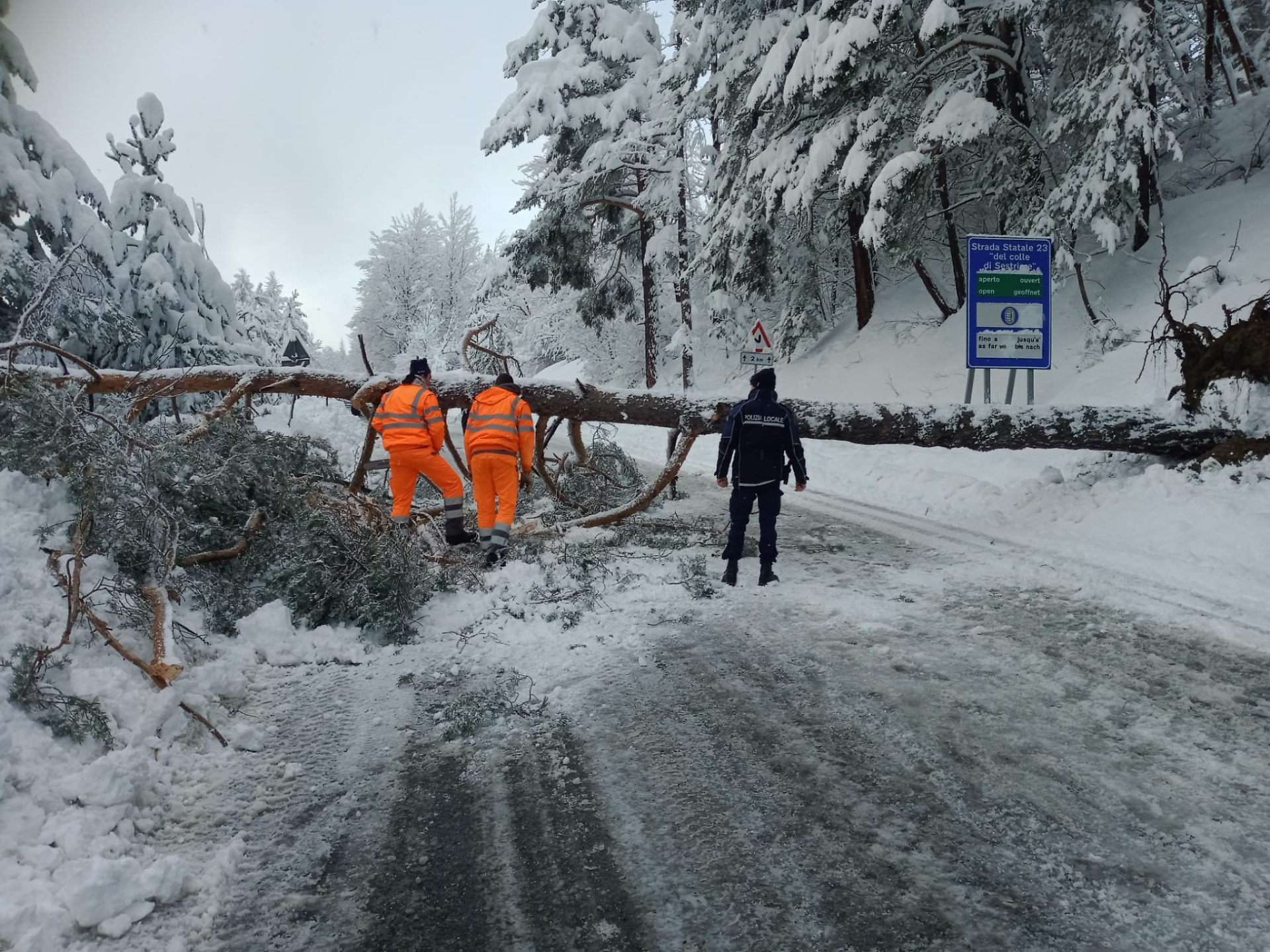 Caduta alberi a Cesana