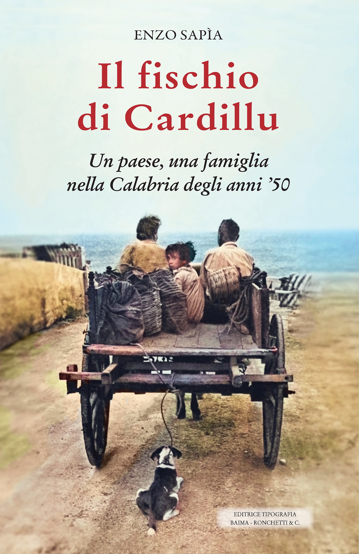 La copertina del libro