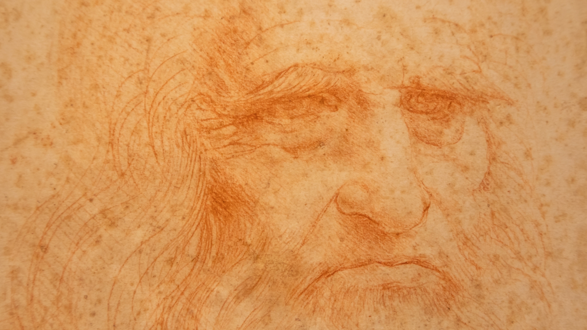 Leonardo Da Vinci