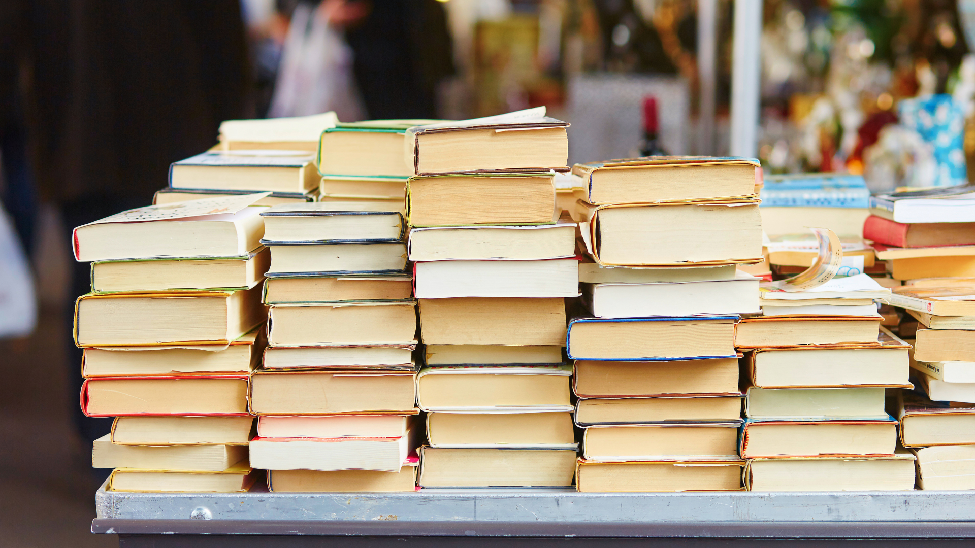 festival libri san gaudenzio