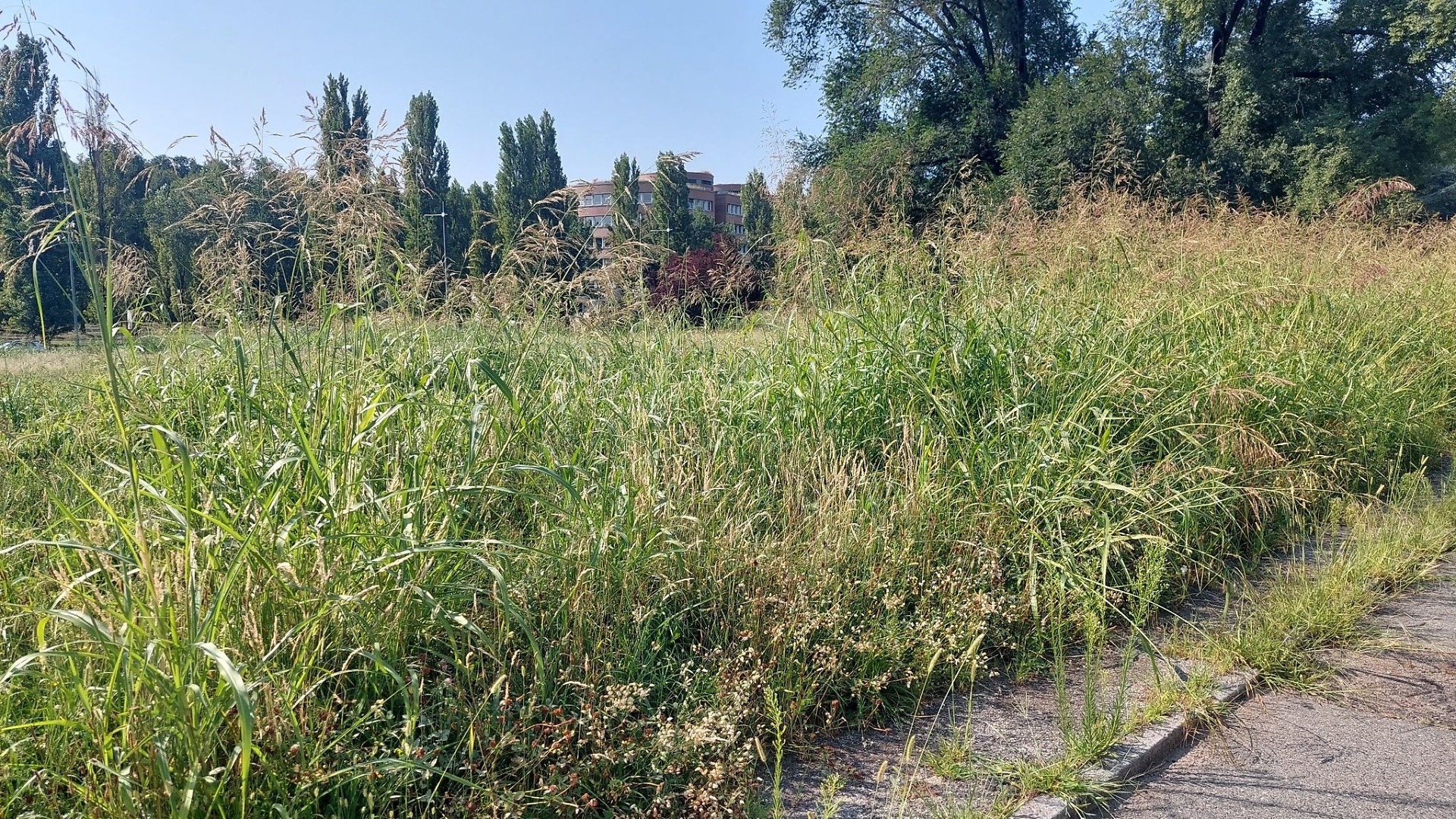 degrado