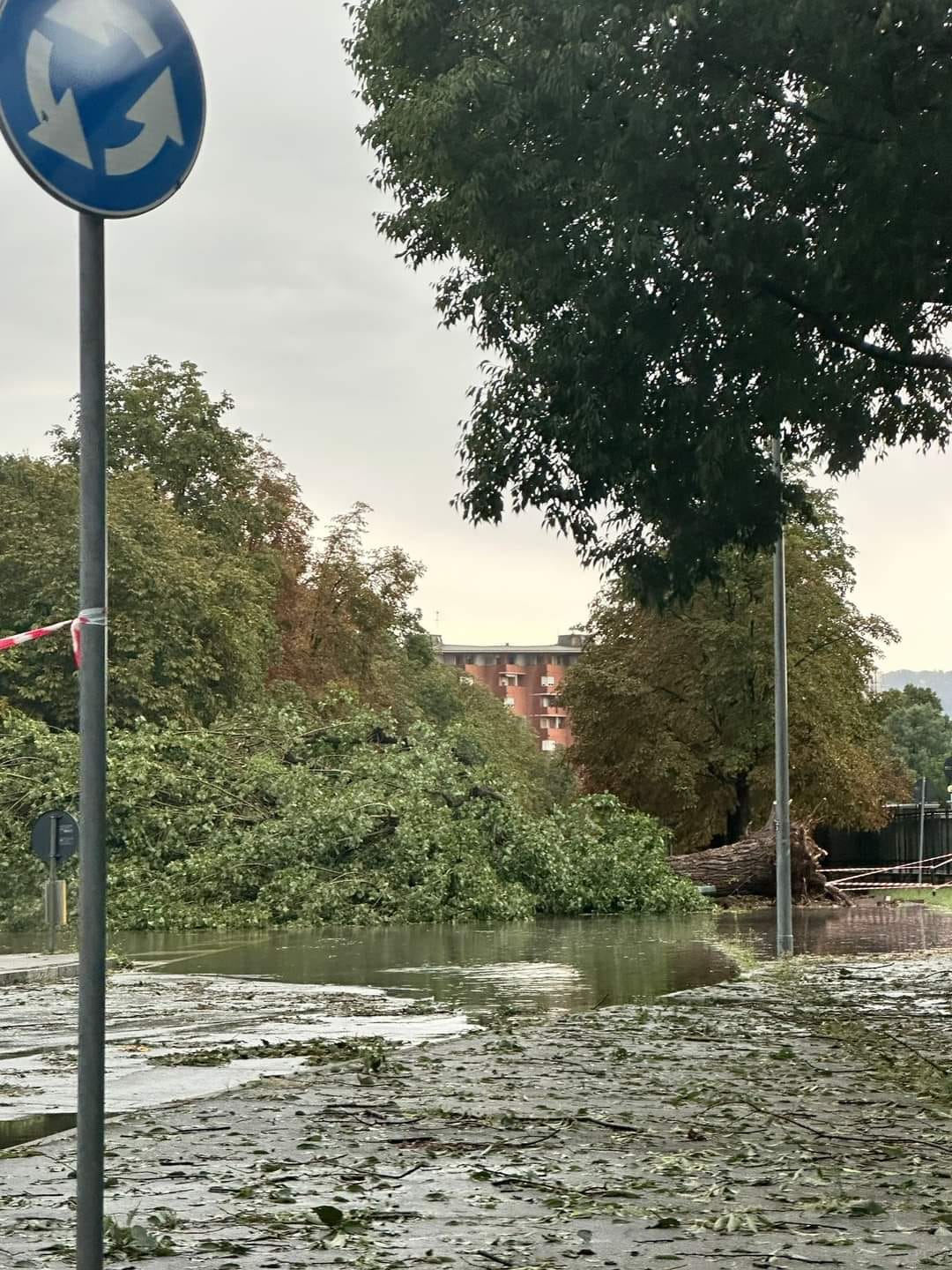 A Torino