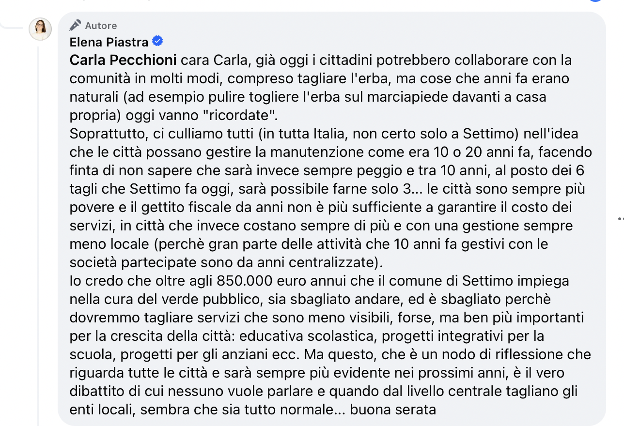 IL POST DI ELENA PIASTRA