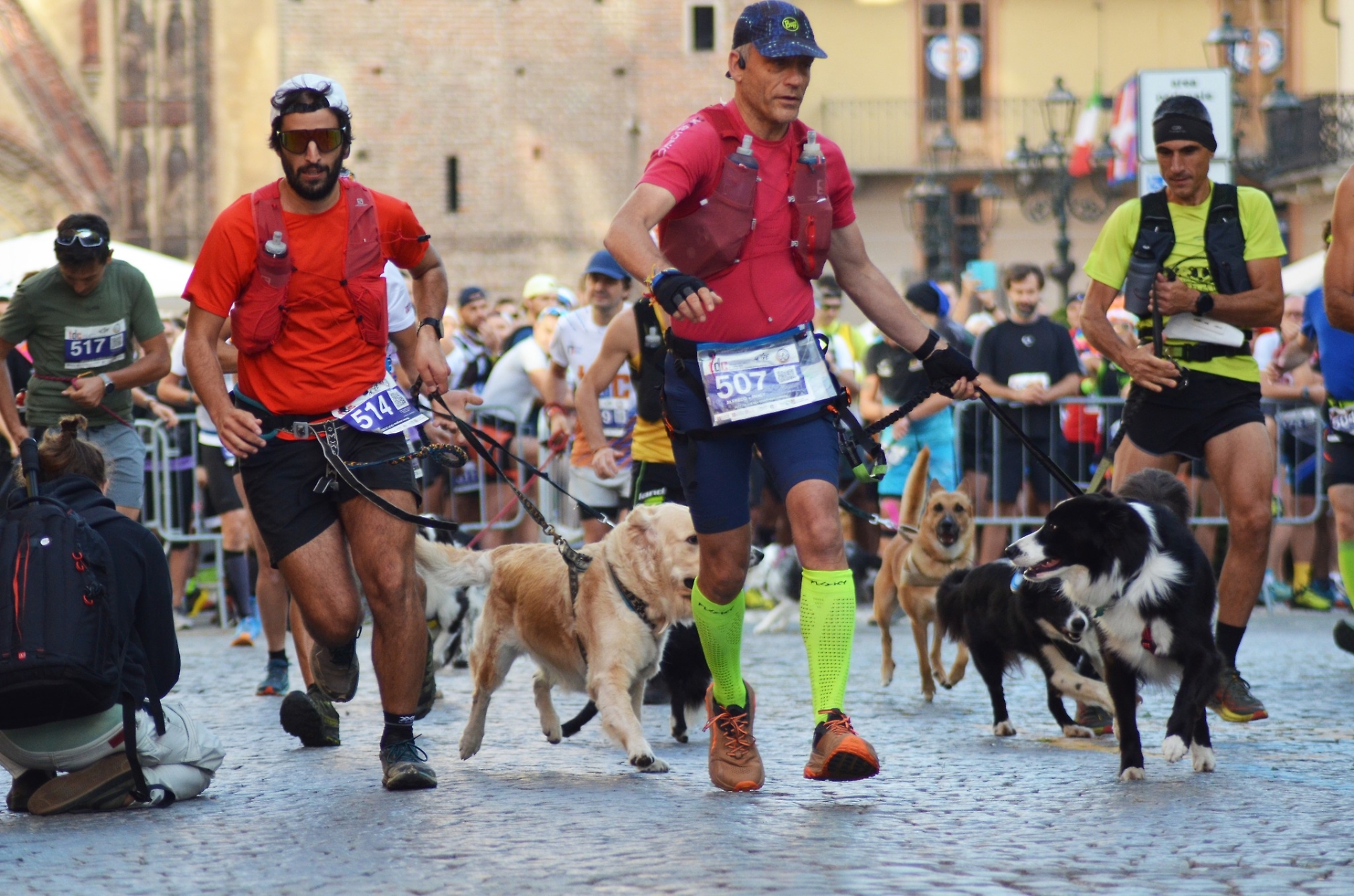 Trail delle Colline Dog spettacolo