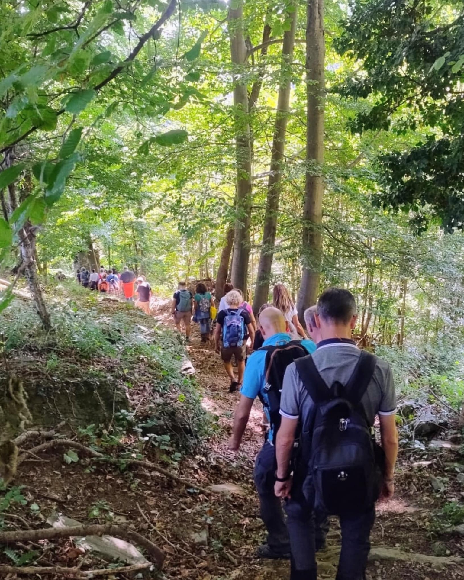 Gruppo in cammino