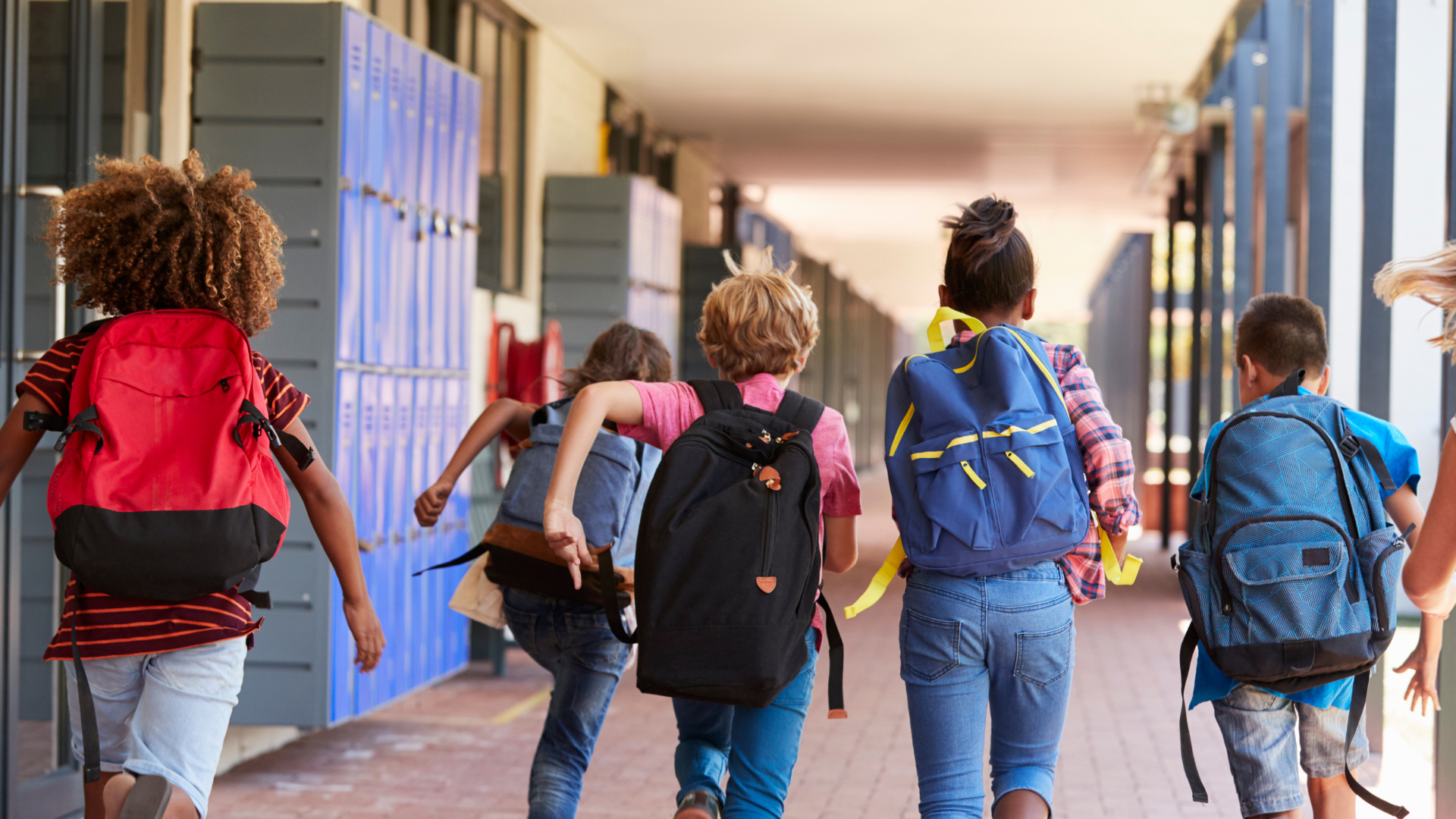 scuole canavese