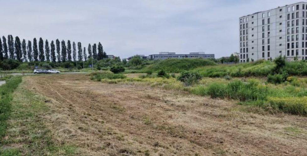 Area ex Montefibre Ivrea
