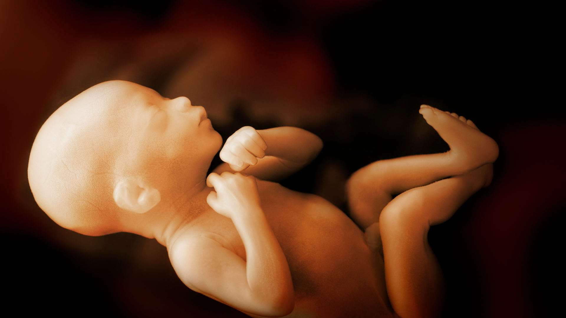 Utero in affitto