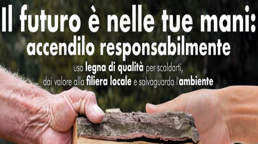 biomasse piemonte