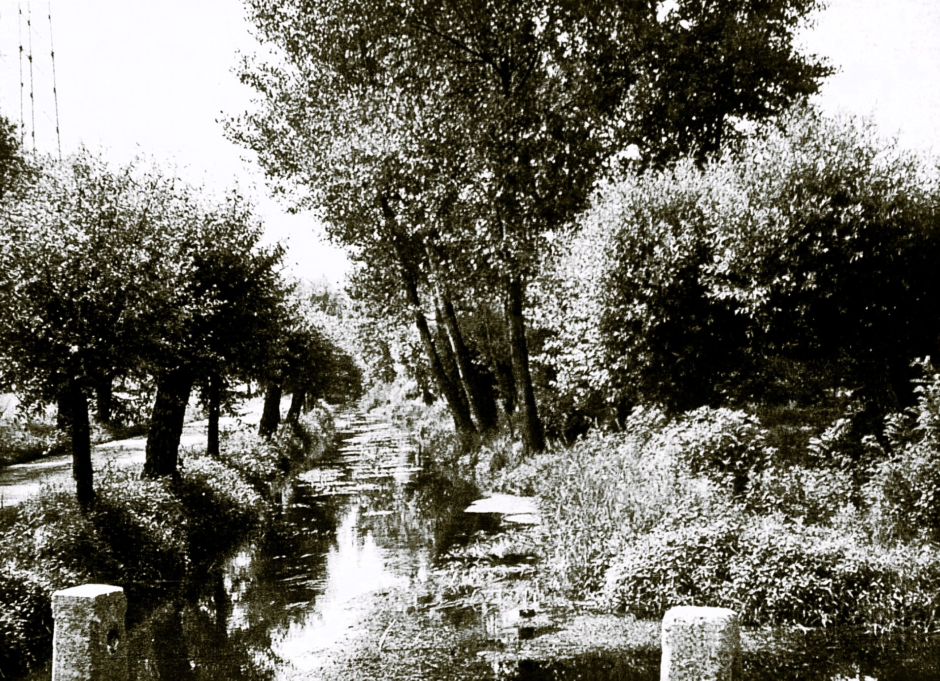 Nei primi anni Sessanta del XX secolo, il rio Freidano attraversa le superstiti aree boschive presso la cascina San Giorgio