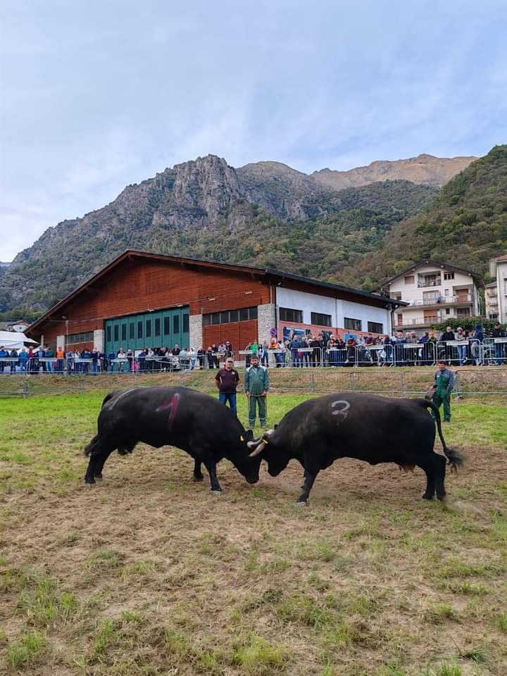 Una "Battaglia" a Cantoira