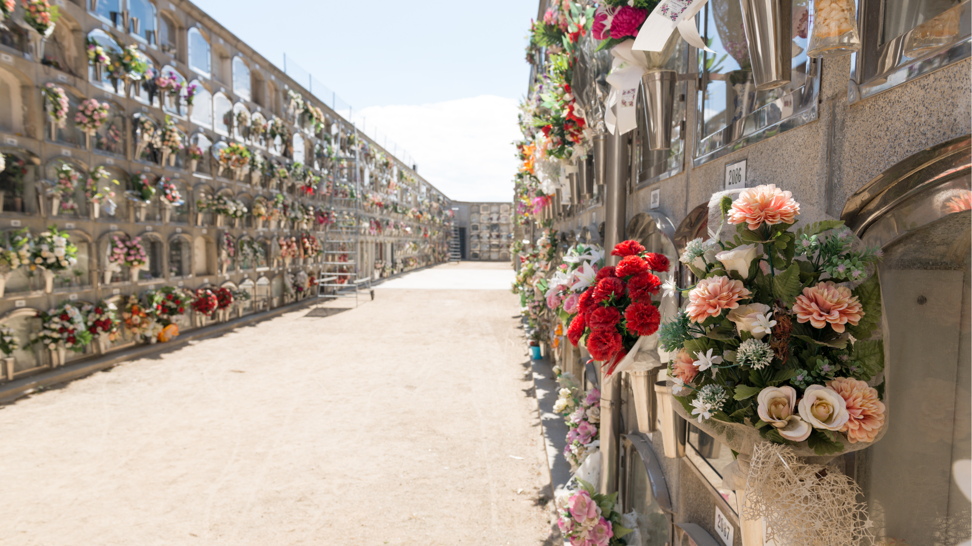cimitero