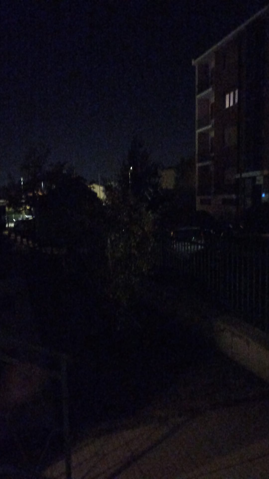 burio