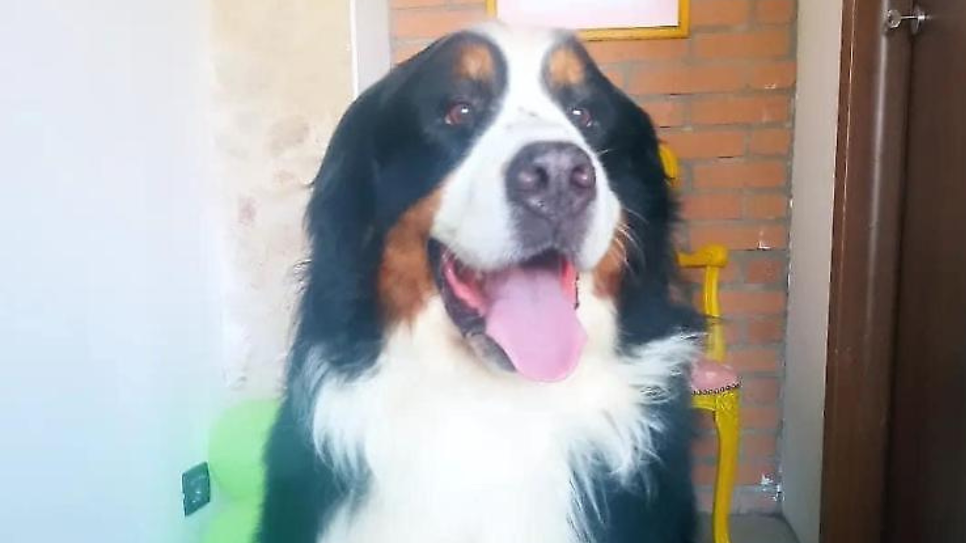 Max