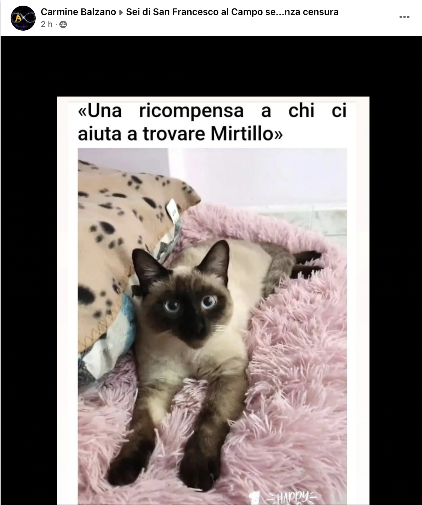 mirtillo