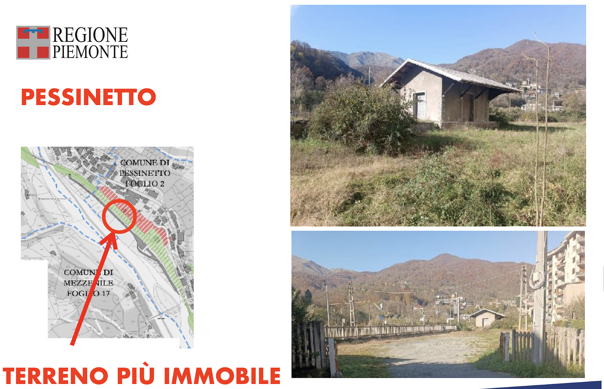 pessinetto