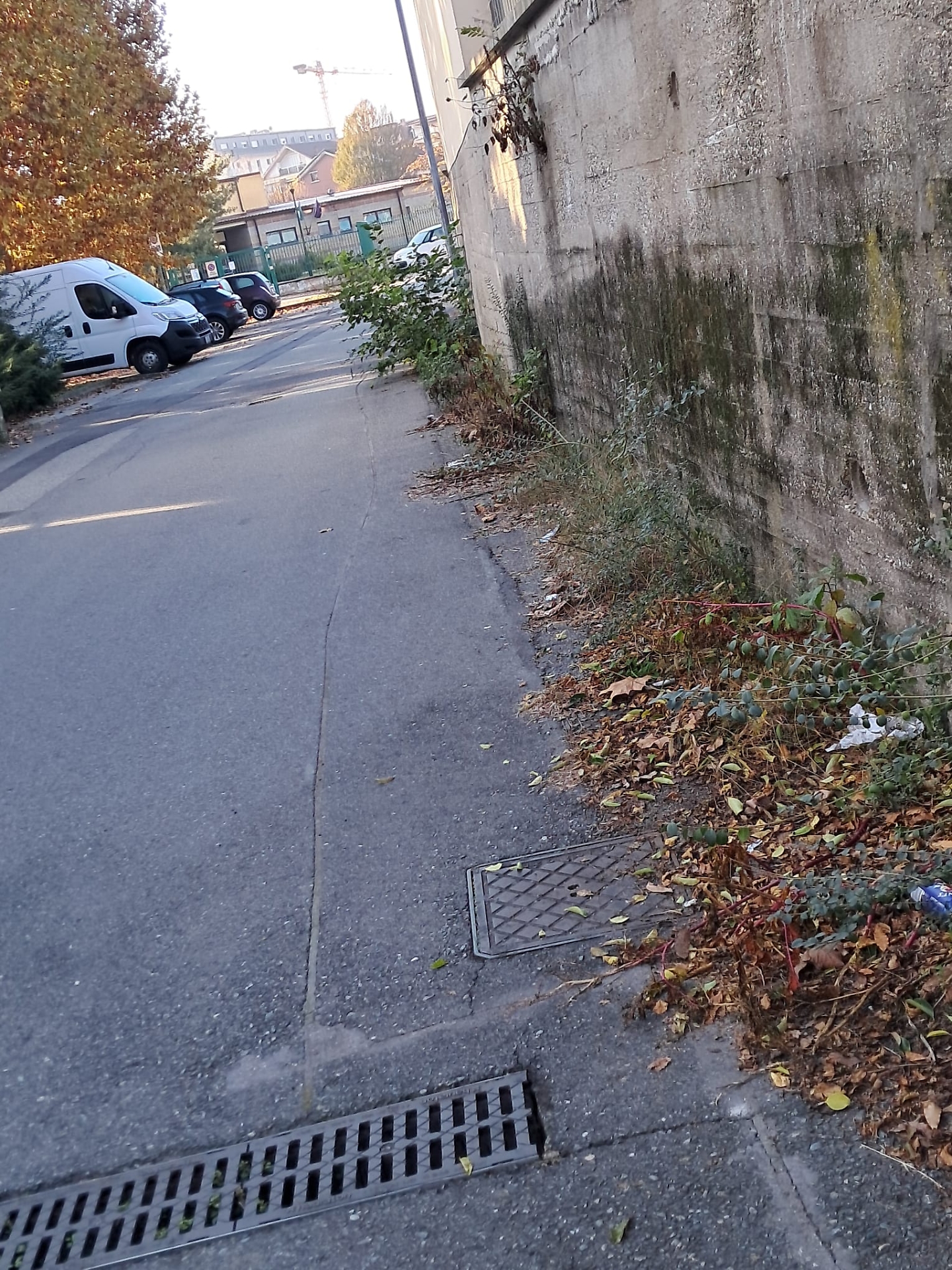 degrado