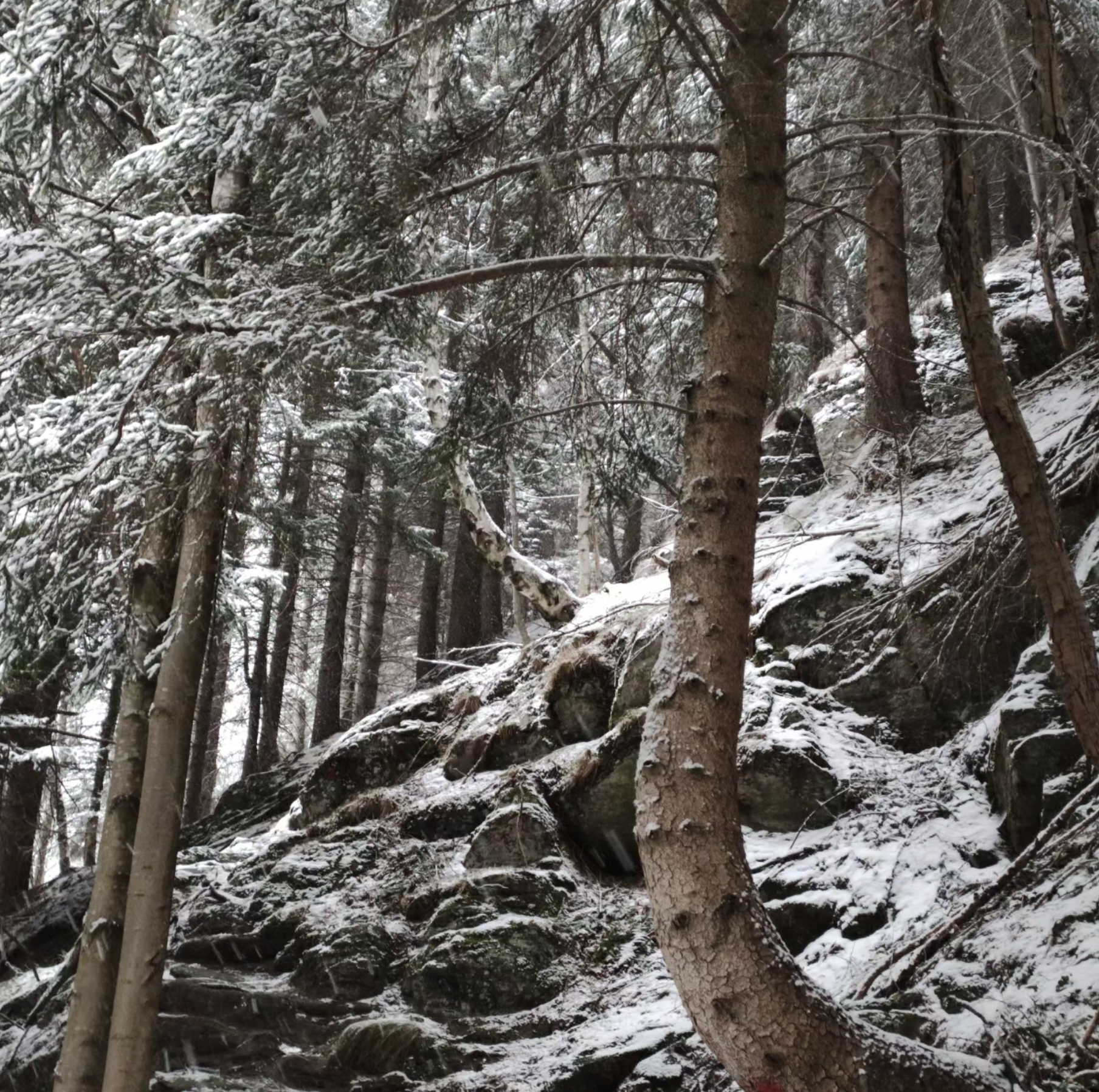 neve a usseglio