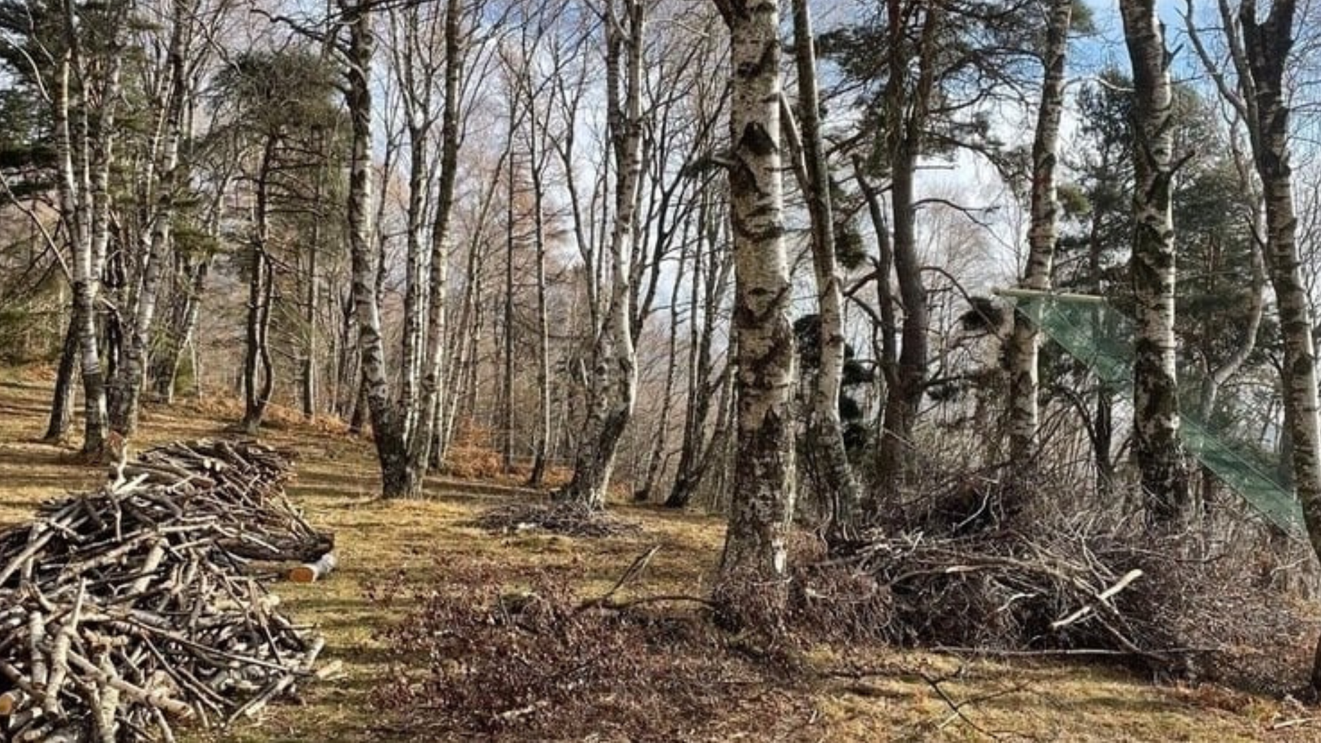 il bosco di San Giacomo