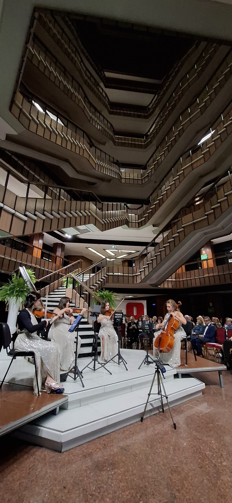 concerto di violini