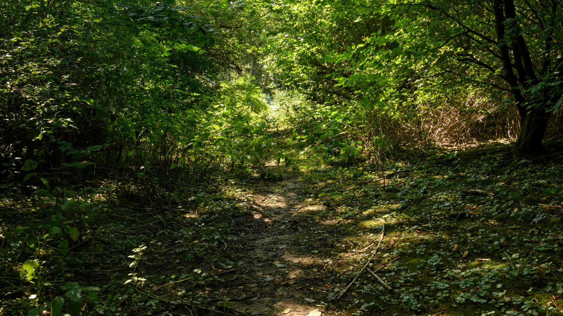 Valli di Lanzo