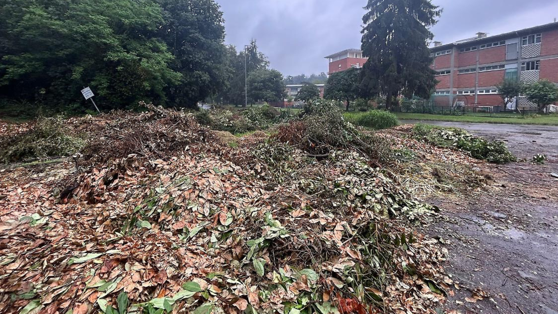 Bellavista