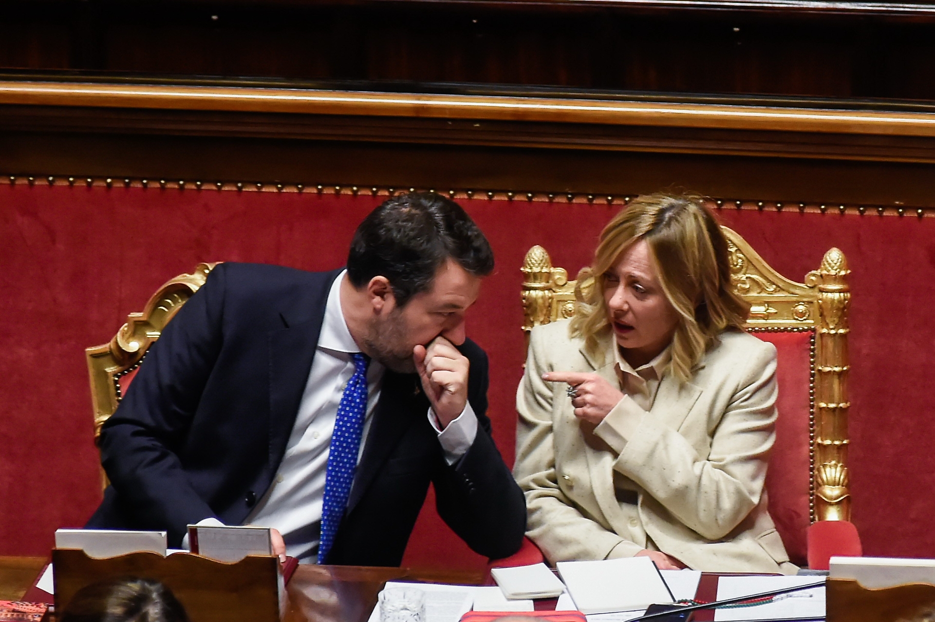 salvini meloni