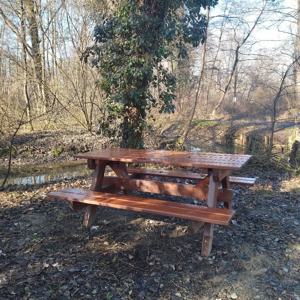 Dintorni lago