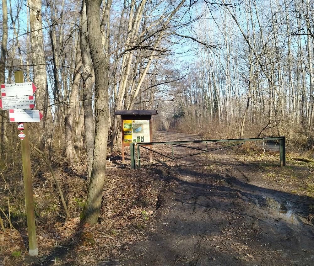parco lago