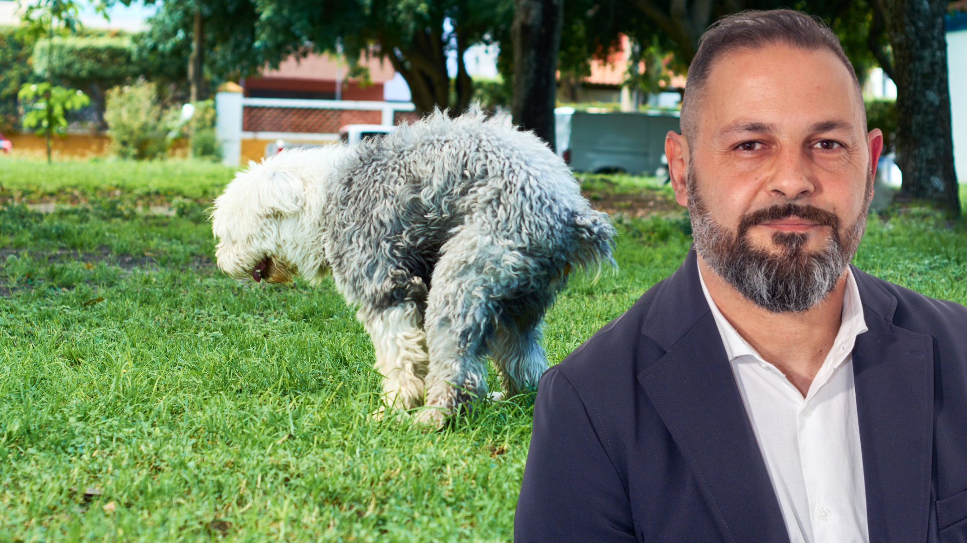 Enzo Maiolino