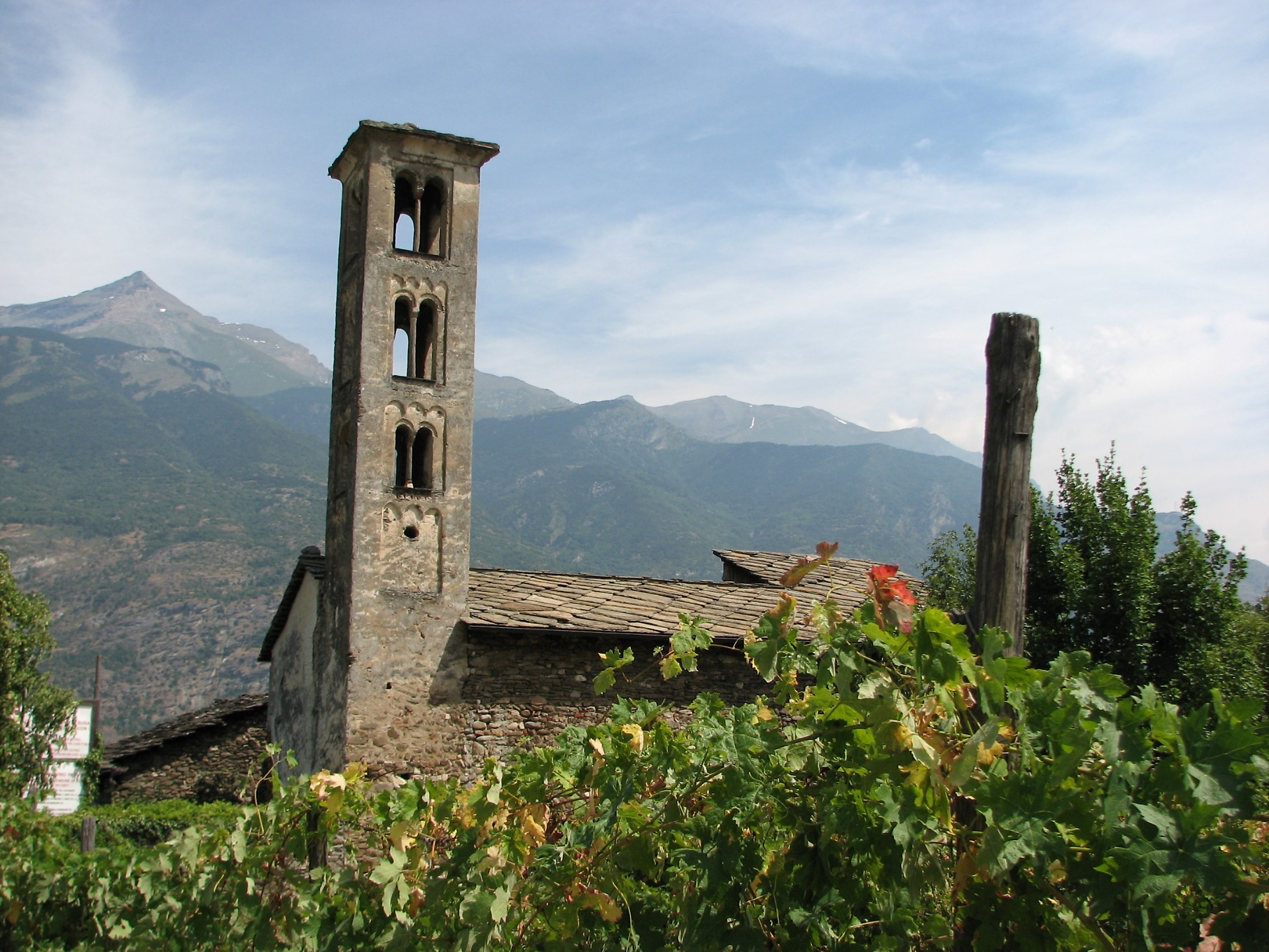 vigneti Susa
