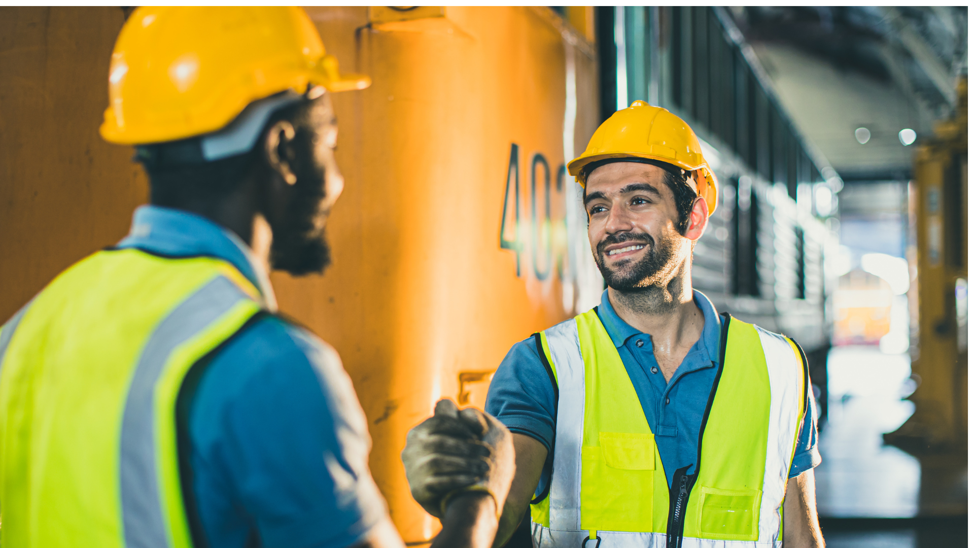 lavoratori professionali