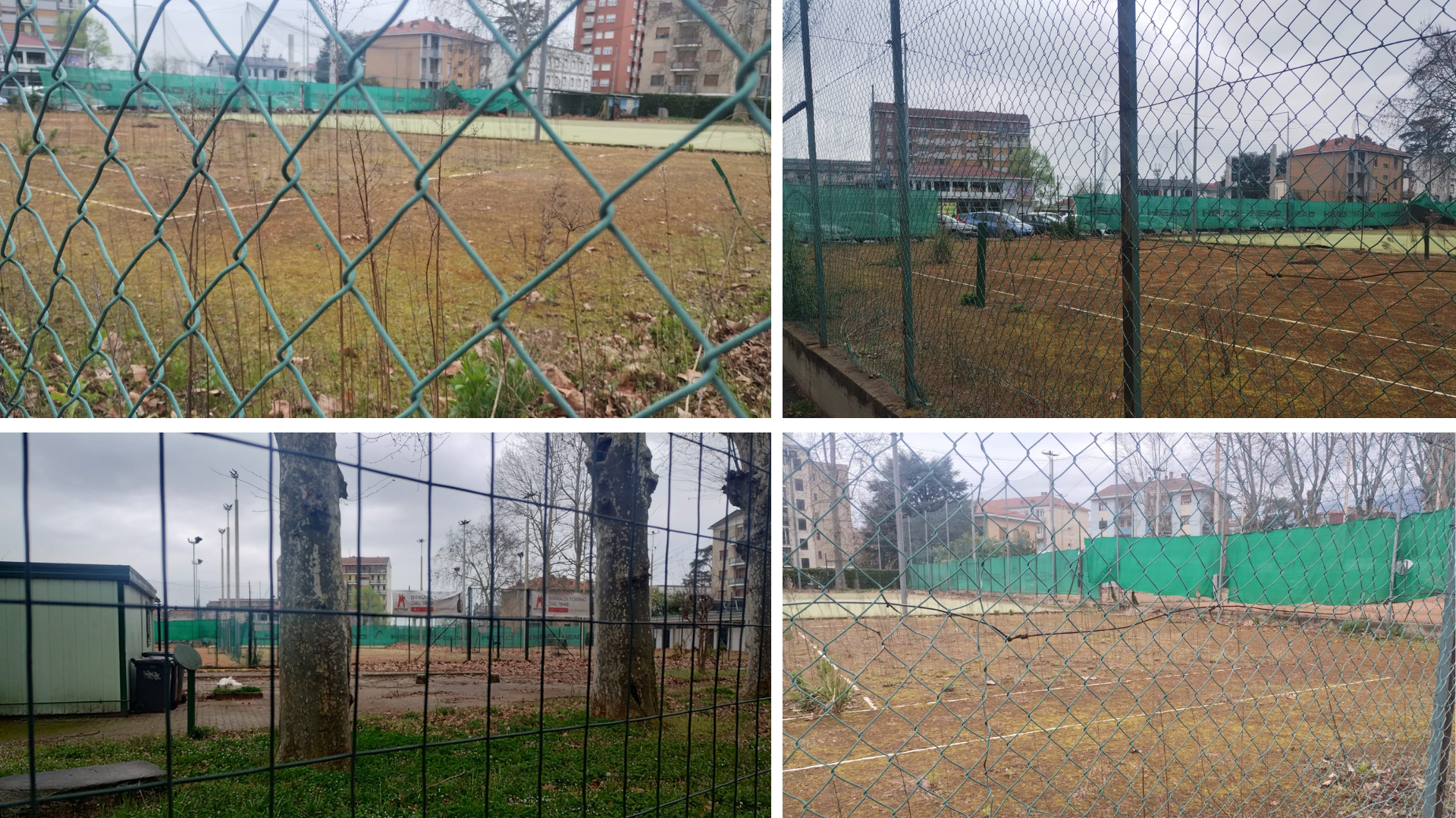 immagini tennis