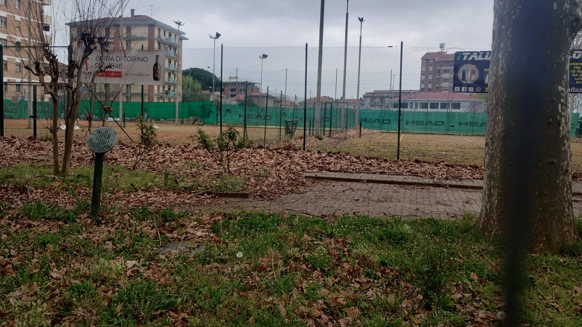 tennis