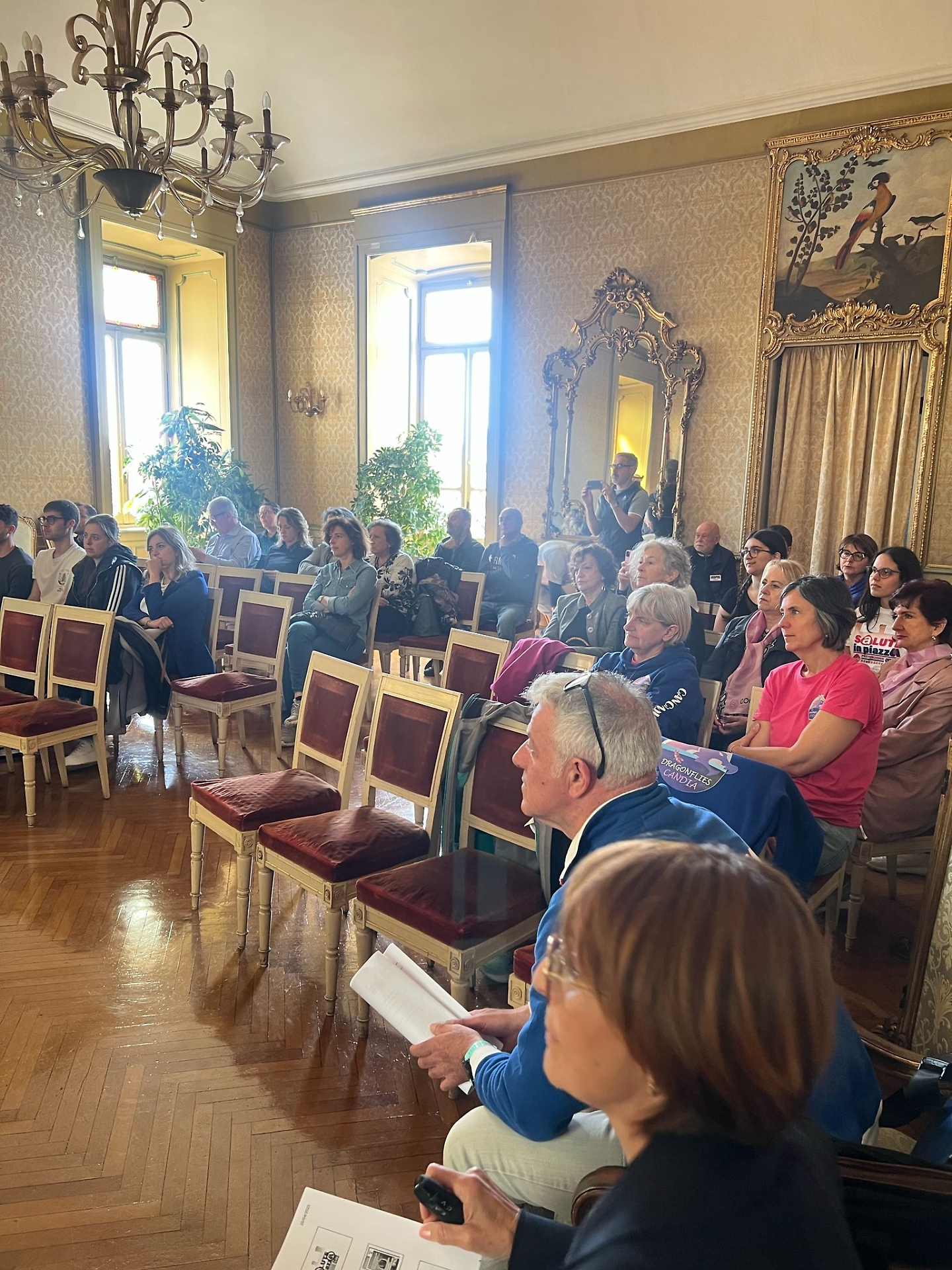 il pubblico