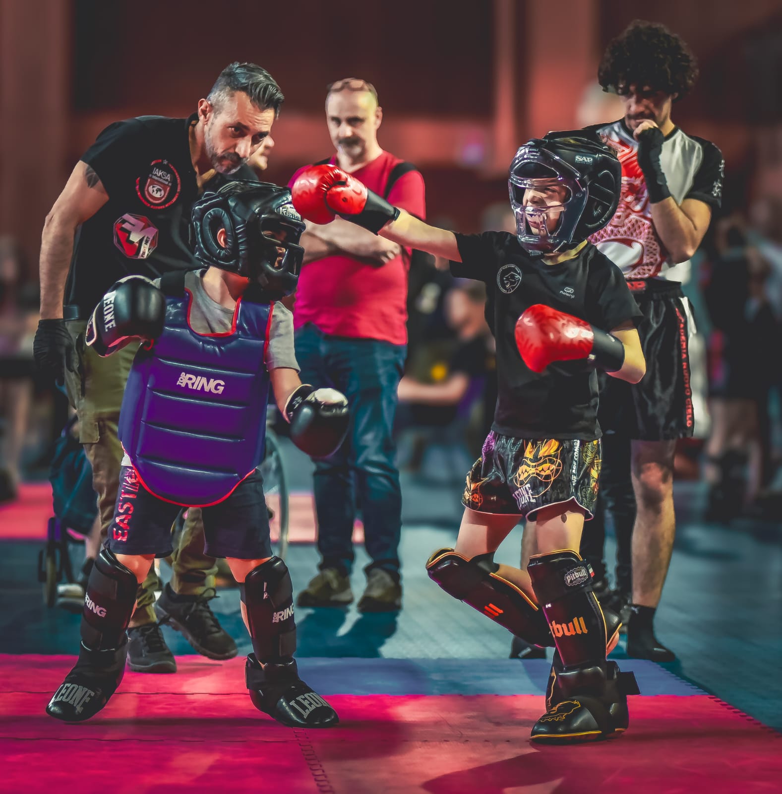 Torino Fight Cup 4 (FOTO DI MASSIMO ALBANESE)