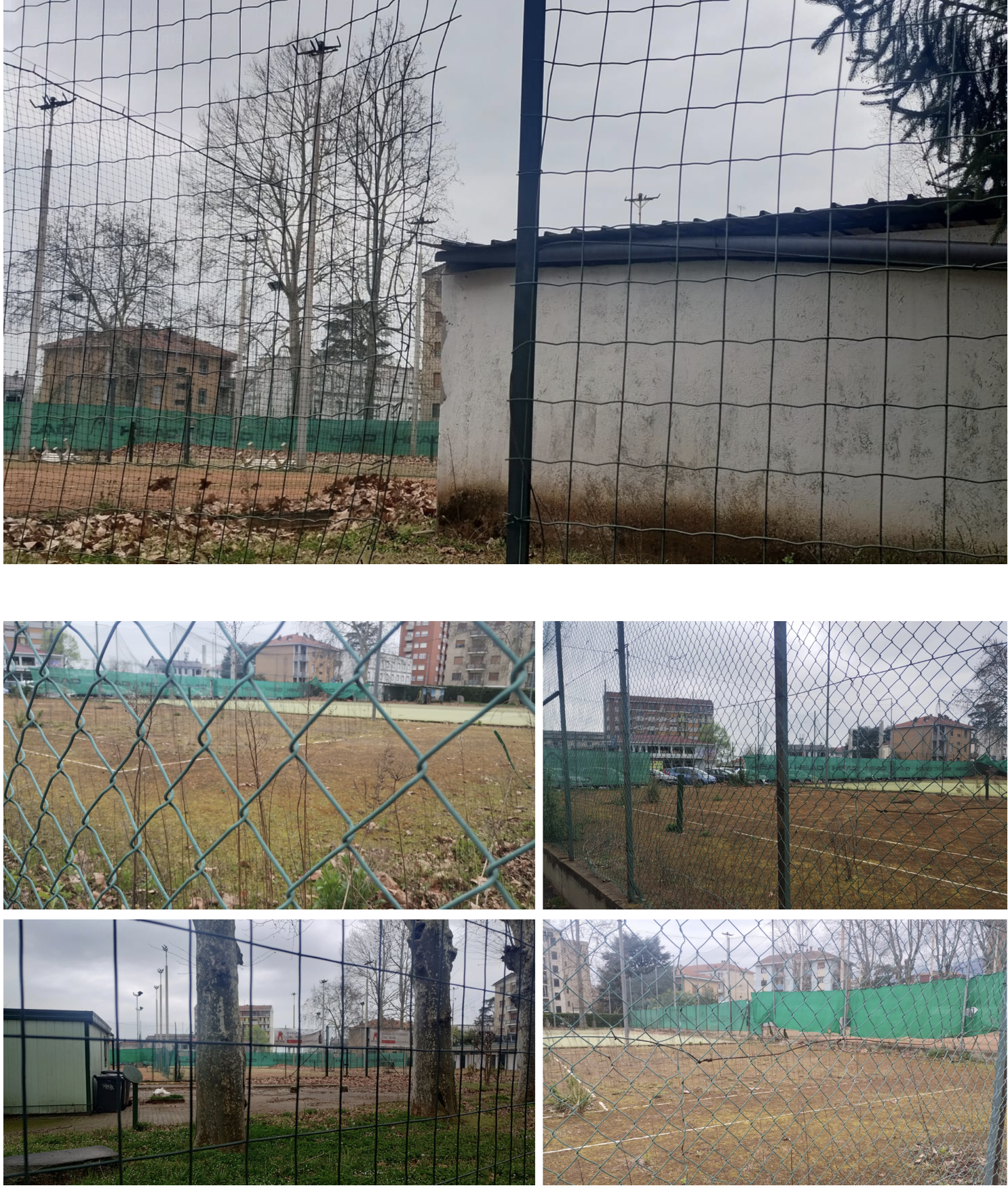 tennis